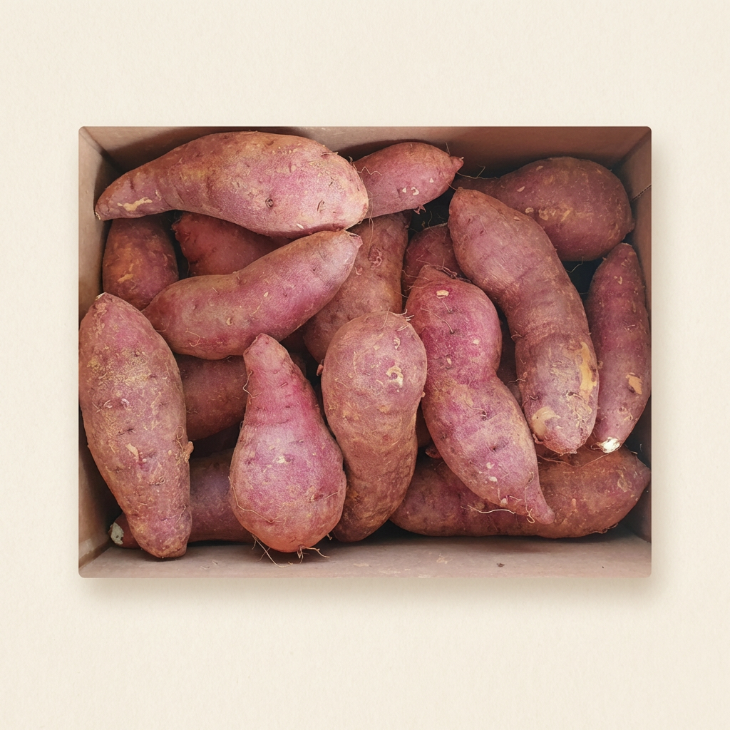 달콤고구마 해남 햇 황토 꿀고구마, 베니하루카, 대, 3kg, 1박스