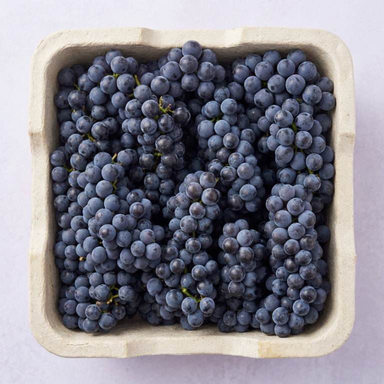 탐나유 캠벨포도, 2kg, 1개