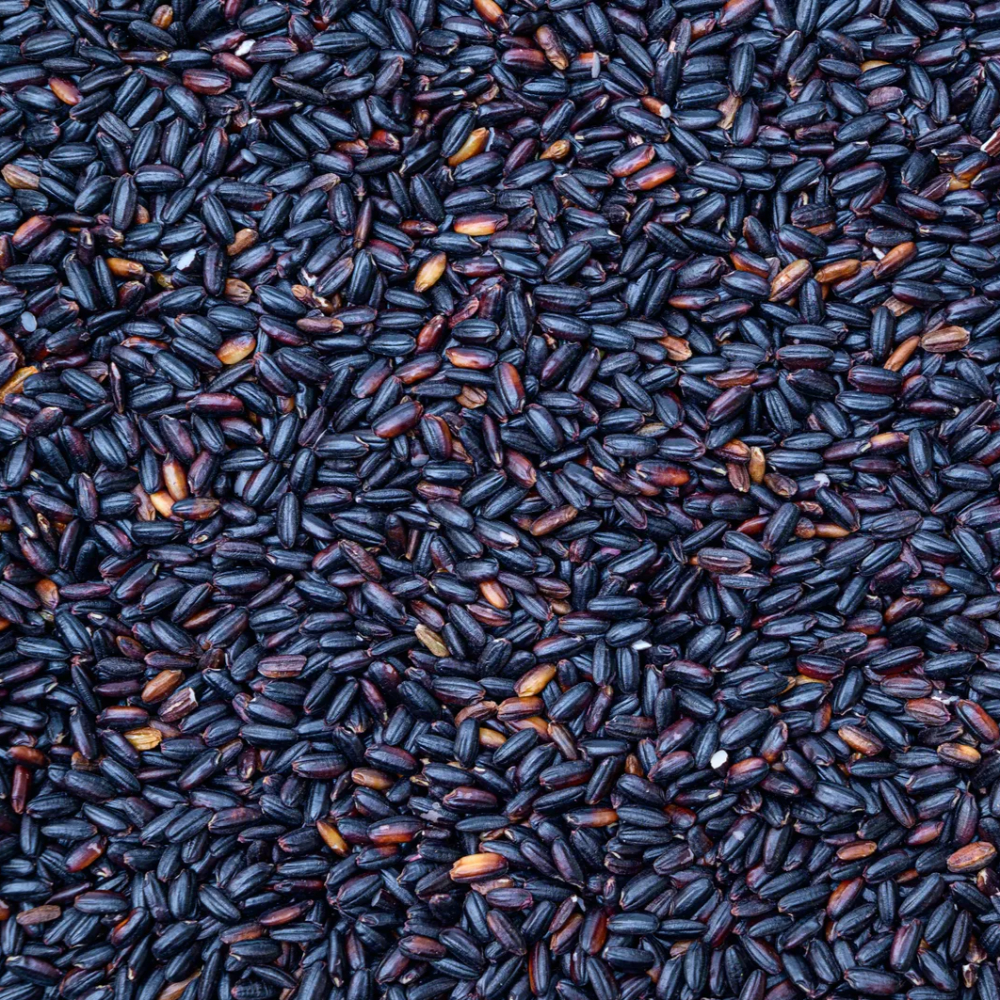 국내산 찰흑미, 500g, 4봉