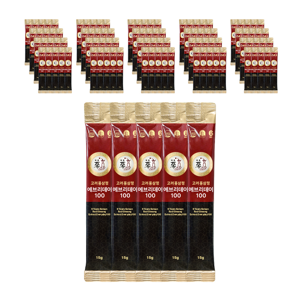 풍년보감 6년근 고려홍삼정 에브리데이100 홍삼스틱, 15g, 300포, 1개