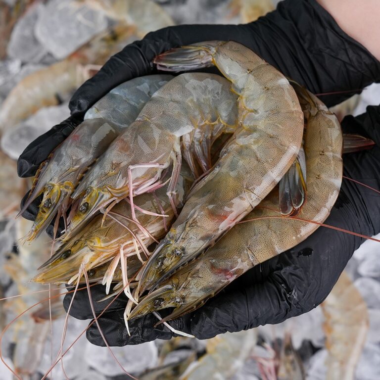 그대의밥상 국산 생물 흰다리새우, 38미 내외, 1kg, 1개