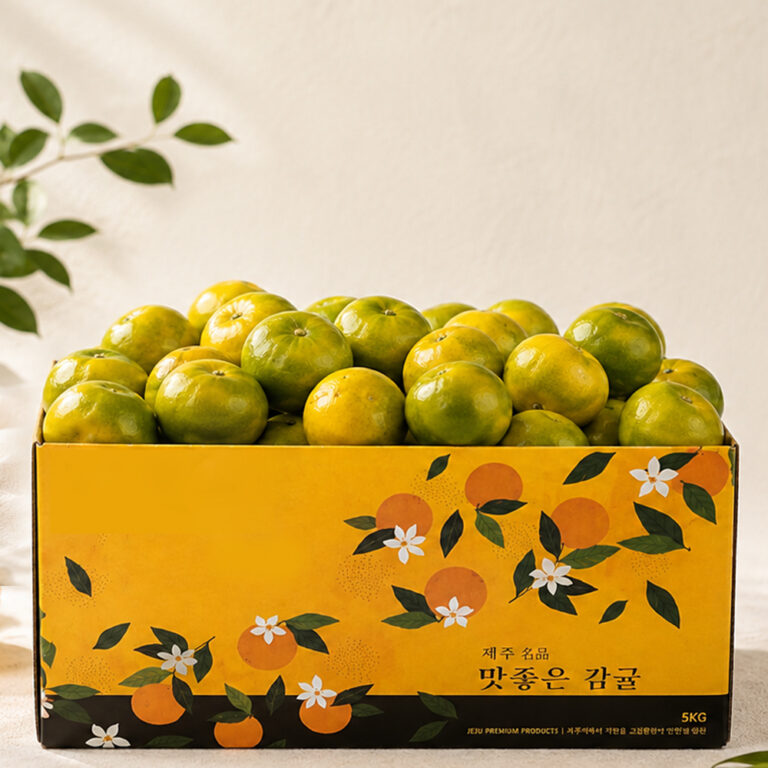 감동 제주 햇 감귤, 소과, 4.5kg, 1개