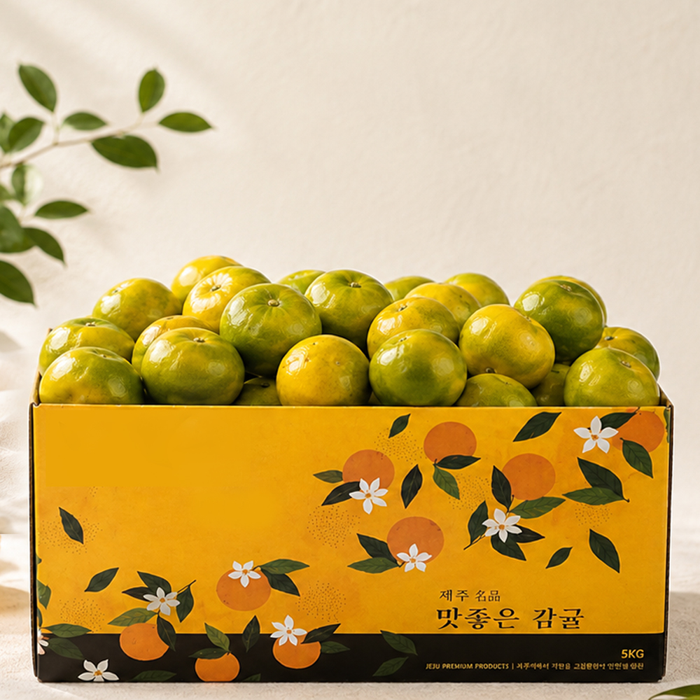 감동 제주 햇 감귤, 소과, 4.5kg, 1개